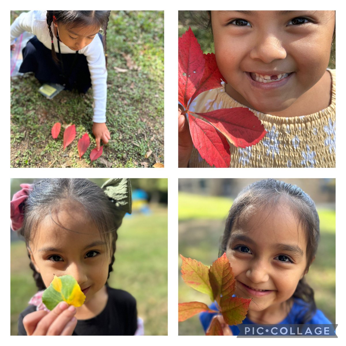 Cheryl O’Donnell tweet media