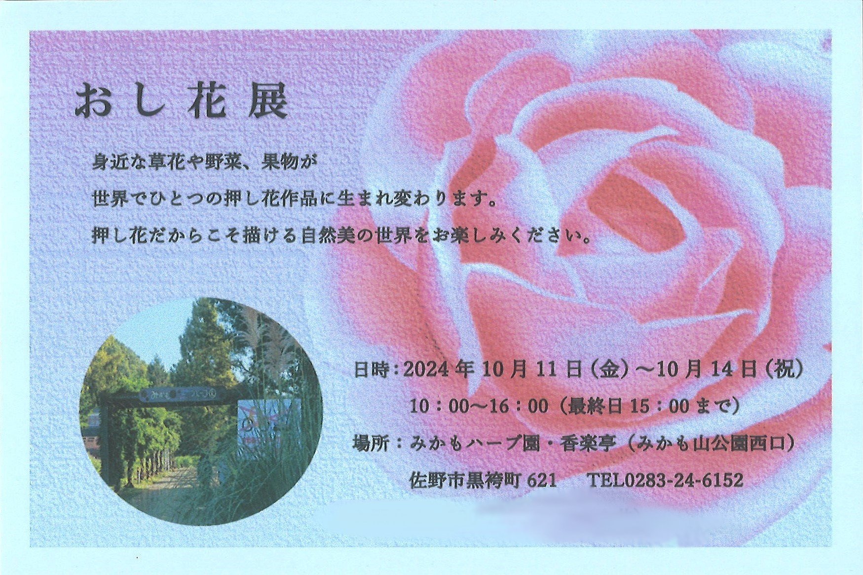 2024超人気 みかも山公園【公式】 (@mikamoyamapark) / X その他