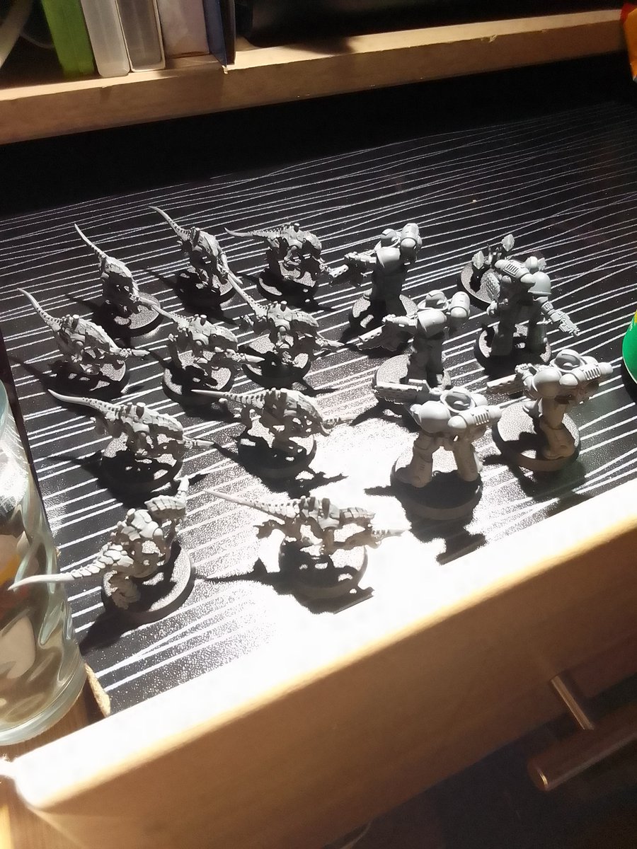 #warhammer40k
Haha yay i got my 2 sqwods all built ! ^w^

Now I need to worry about painting them TwT