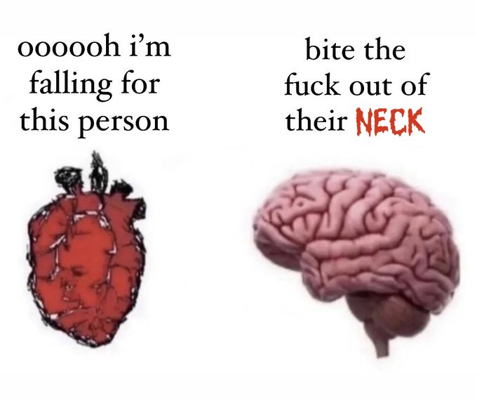 Count Dracula (@draculaactual) on Twitter photo 