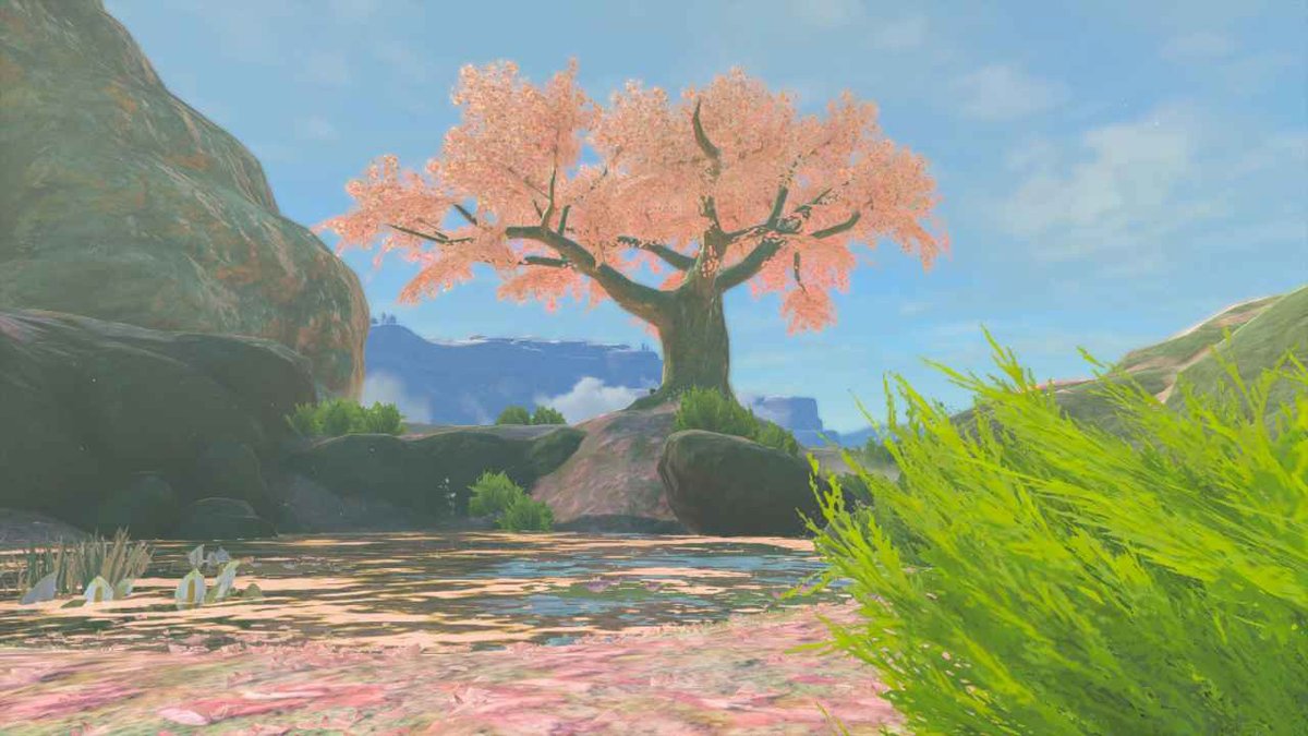 tcmbishop's tweet photo. Not the best idea to play breath of the wild and tears of the kingdom back to back, but I did it anyway..beautiful...gorgeous https://t.co/OHz7xbbc80