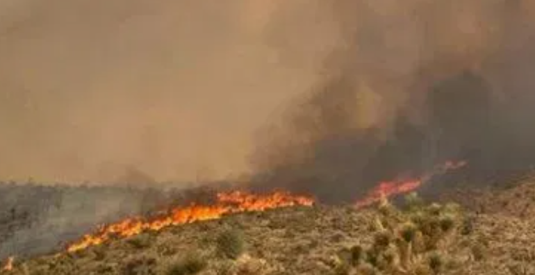CaliFireTracker's tweet photo. We continue to track the #QuarryFire in Inyo County.
The fire is currently 1,000 acres and 0% contained.

Special thanks to Youssef, a member of our Discord Server, for providing this image. https://t.co/pJUfediibS
