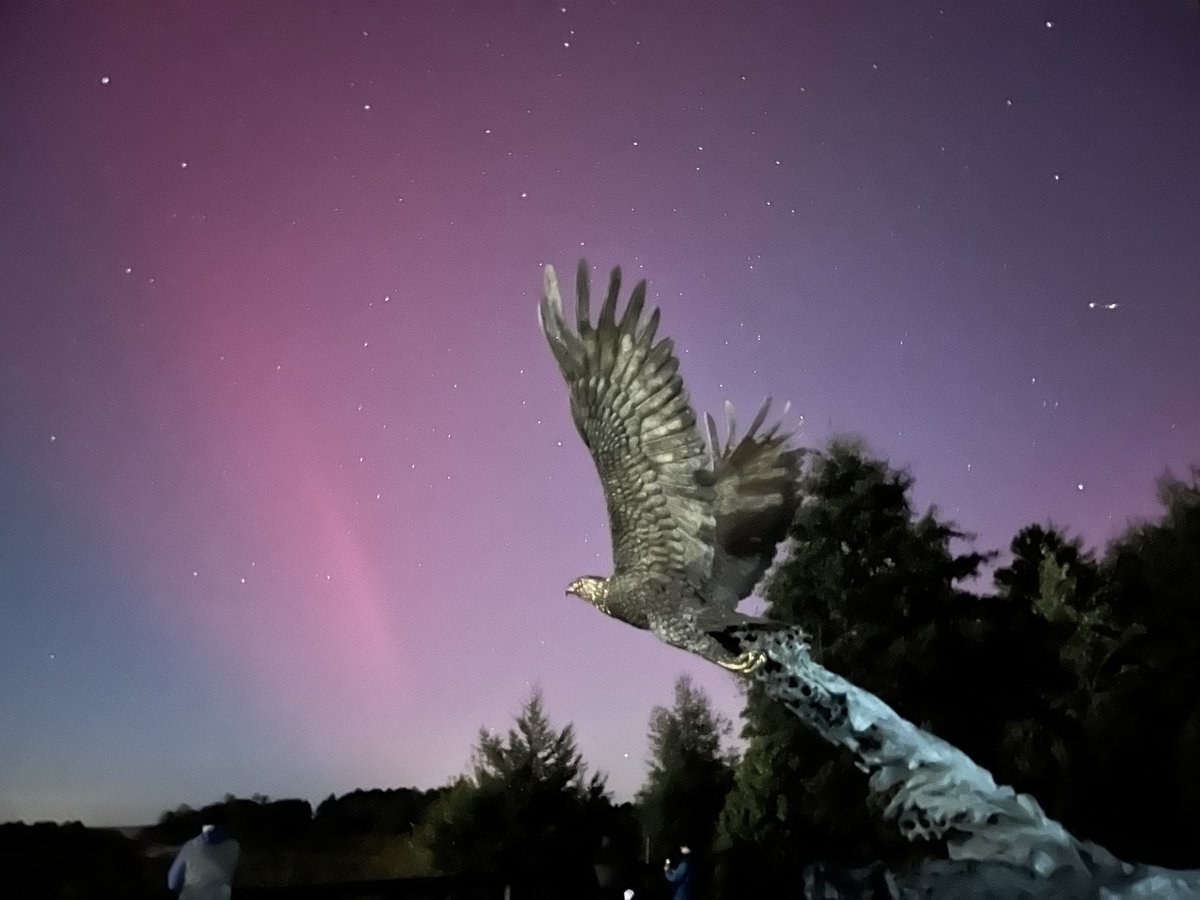 aajohnson's tweet photo. @forecaster25 Richmond, VA. The eagle is a statue at a Luck Stone quarry. https://t.co/jk0Lz3BGtH