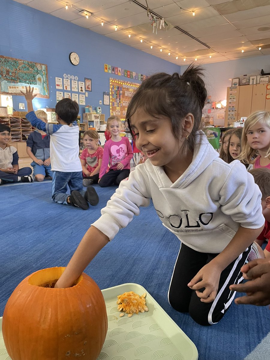 Lizzie Cavender tweet media