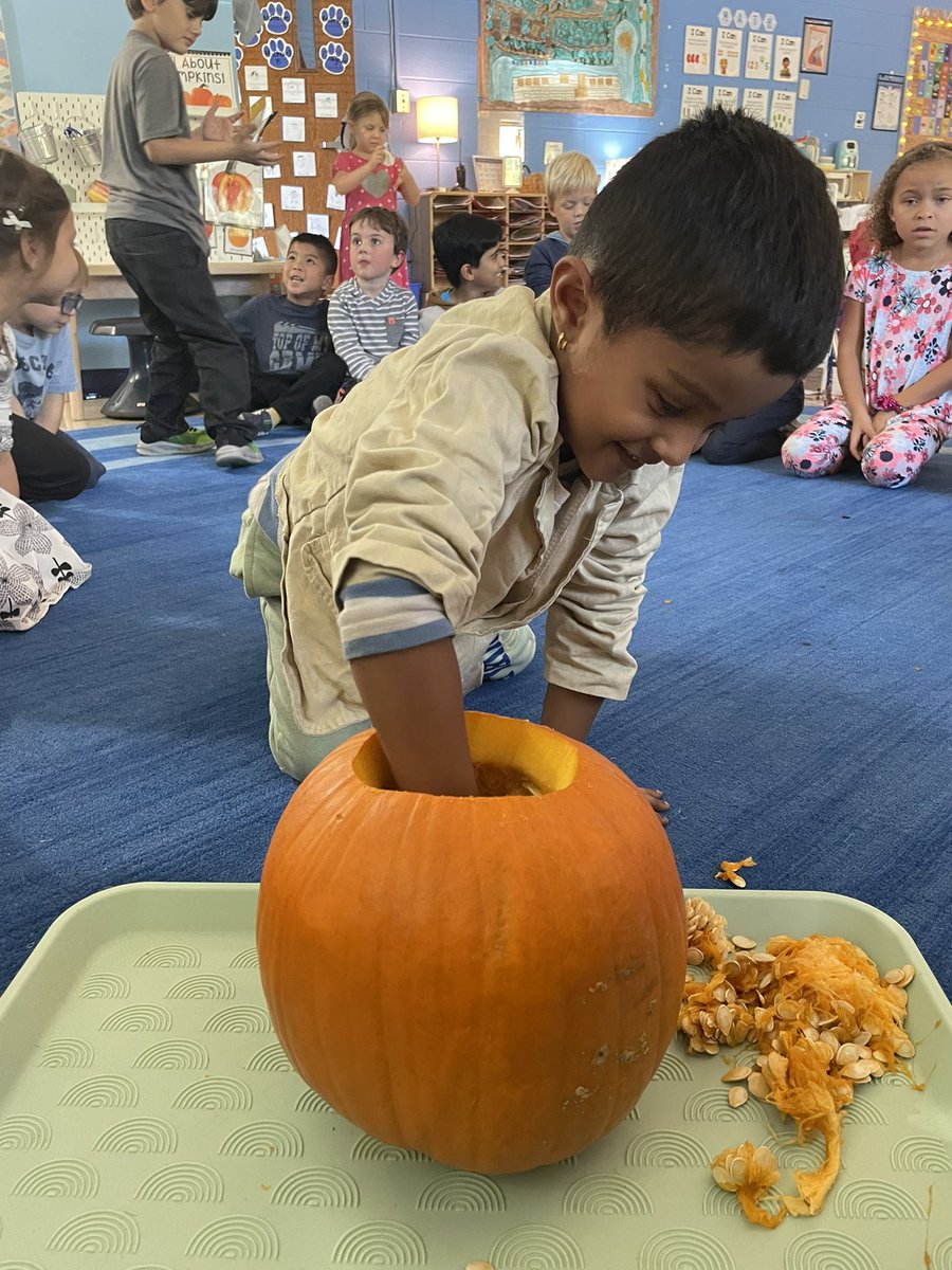 Lizzie Cavender tweet media