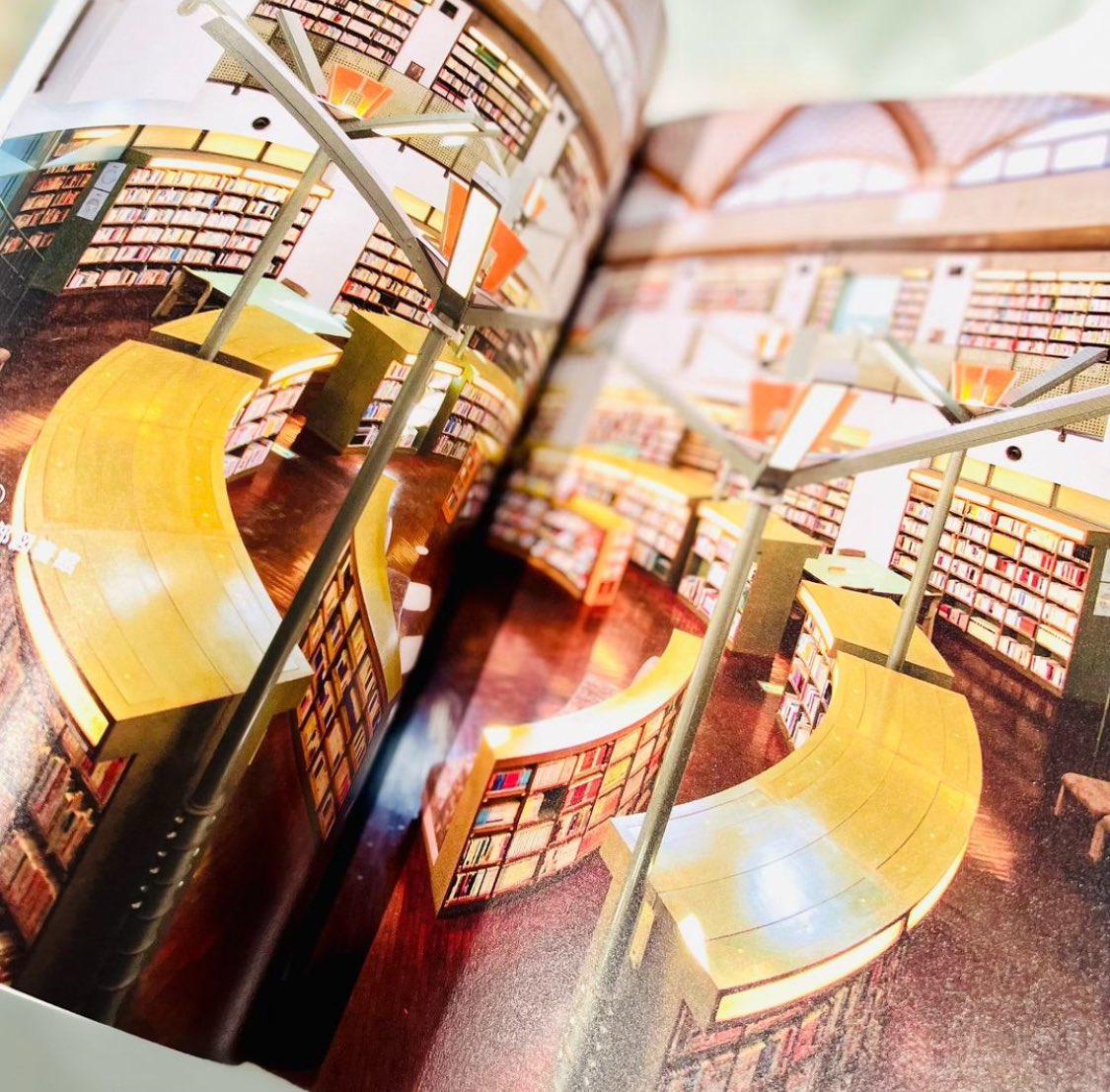 再燈社書店 ネットショップ・店舗
人気取扱書籍のご紹介

日本の最も美しい図書館 改訂版　
立野井一恵 著　
エクスナレッジ刊 

日本の一度は訪れてみたい美しい図書館４１館を美しい写真とともに特集した書籍です

表紙を飾るキノコ型書棚は京都府立植物園の一画にある屋外図書館「きのこ文庫」です