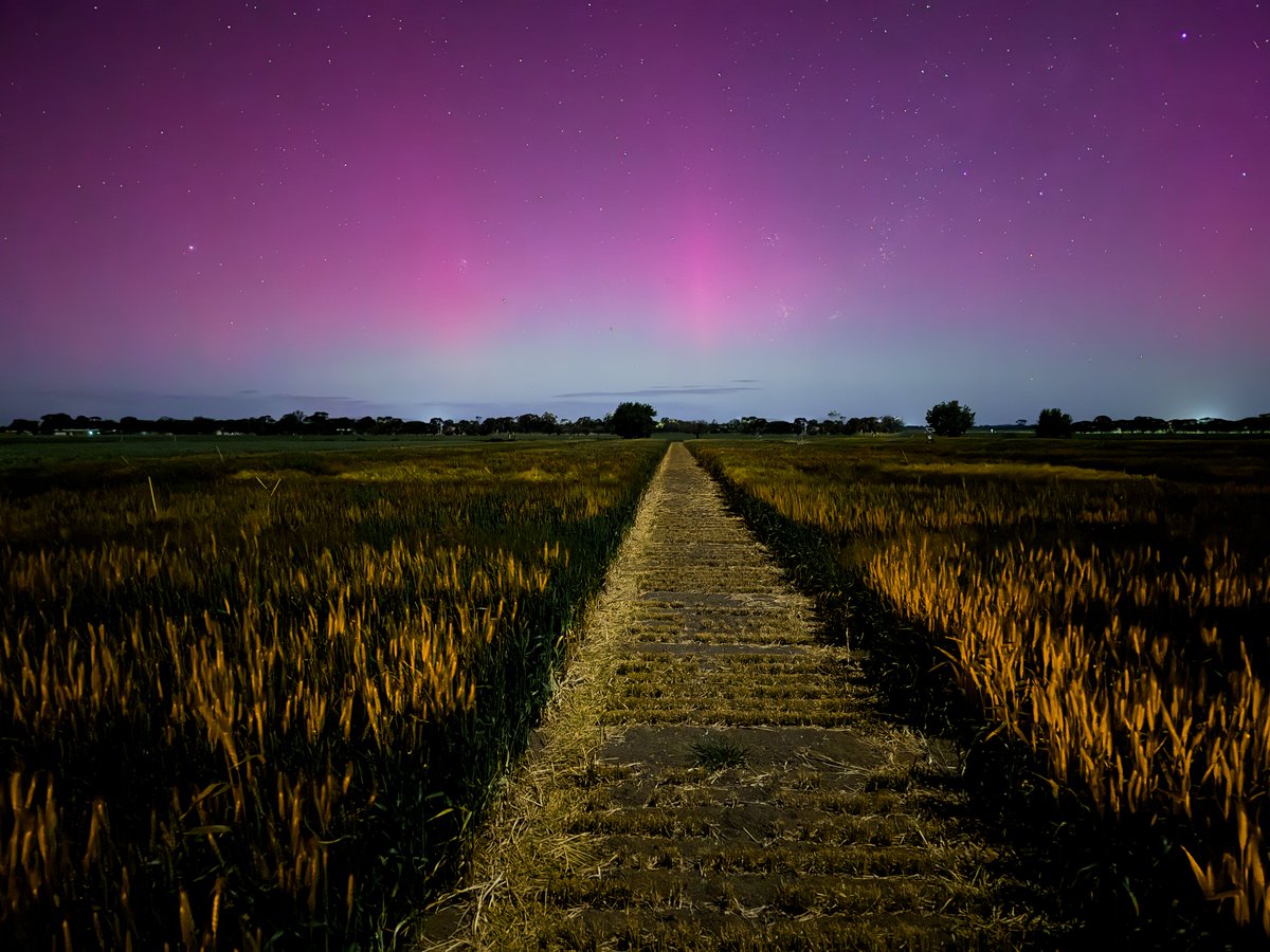 Joshua Fanning (@fanningjosh_) on Twitter photo The Aurora was out in full force last night. A few pics of our trials under Aurora australis. I didn't think trial would look so magical at night. The <a href="/VicGovAg/">Agriculture Victoria</a> team has done well to have them looking this good and hopefully giving valuable results with <a href="/theGRDC/">GRDC</a> <a href="/GRDC_NVT/">GRDC National Variety Trials (NVT)</a> The Aurora was out in full force last night. A few pics of our trials under Aurora australis. I didn't think trial would look so magical at night. The <a href="/VicGovAg/">Agriculture Victoria</a> team has done well to have them looking this good and hopefully giving valuable results with <a href="/theGRDC/">GRDC</a> <a href="/GRDC_NVT/">GRDC National Variety Trials (NVT)</a>
