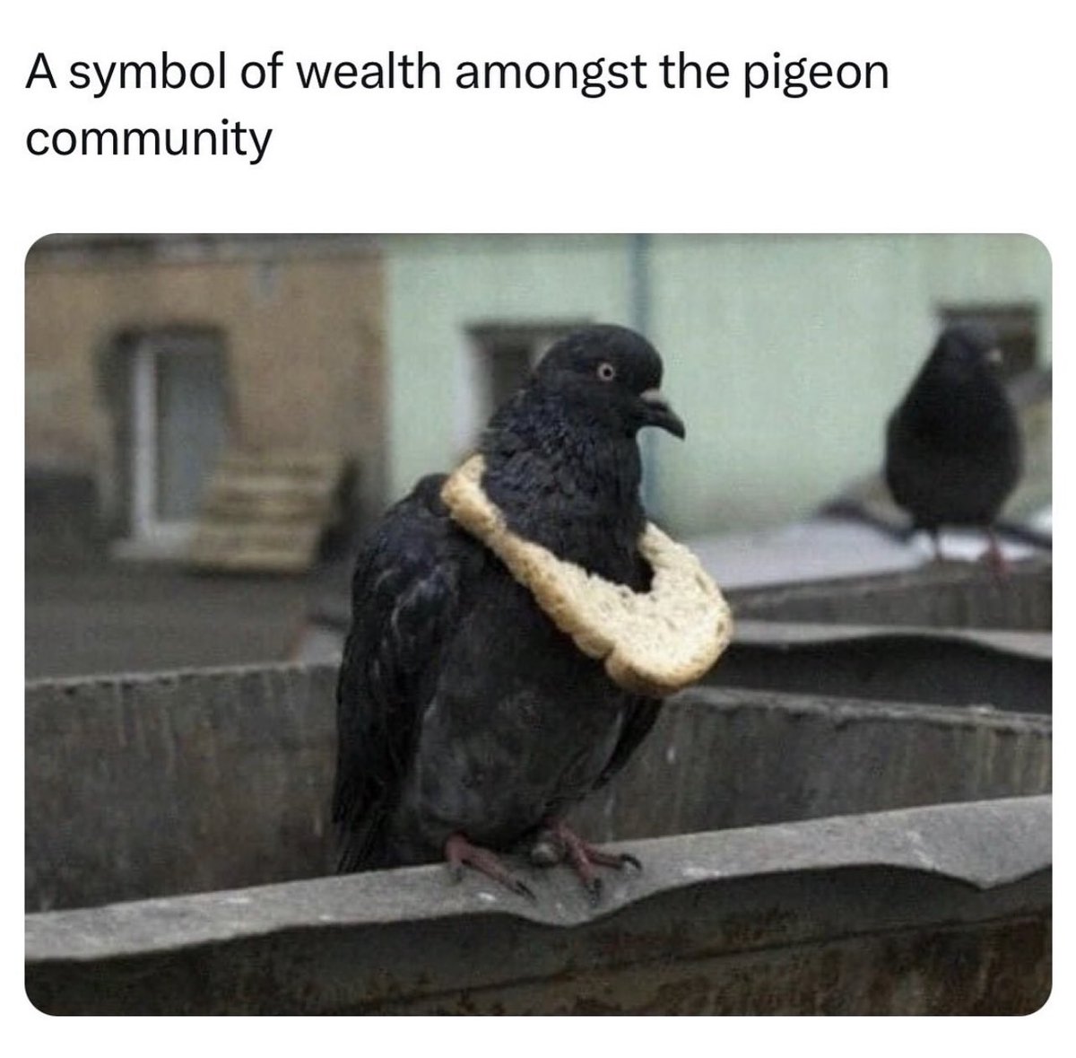 Erik Stevens 🐆 tweet media