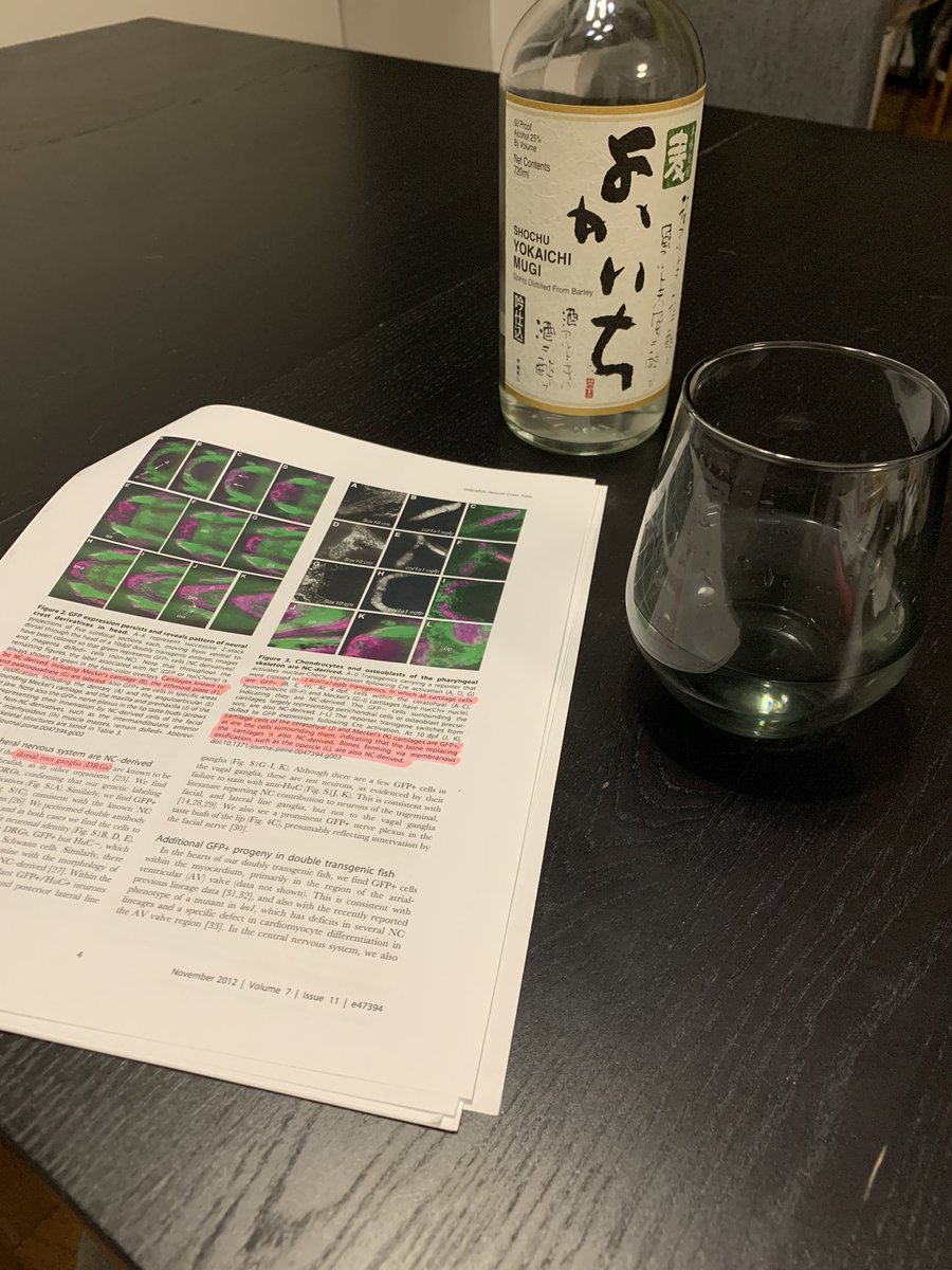 tetsuyanakamu's tweet image. What is your favorite thing on Friday? #Japaneseliquor #readpapers #PIlife