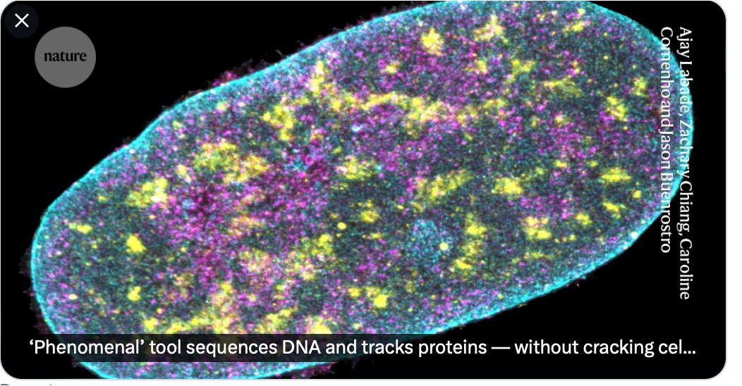 I just found out that a novel method—"Expansion in situ genome sequencing" (ExIGS)—could be added to the fabulous omics repertoire. 
This method combines simultaneous DNA sequencing with super-resolution microscopy! 
The spectacular results allow the visualization of DNA and