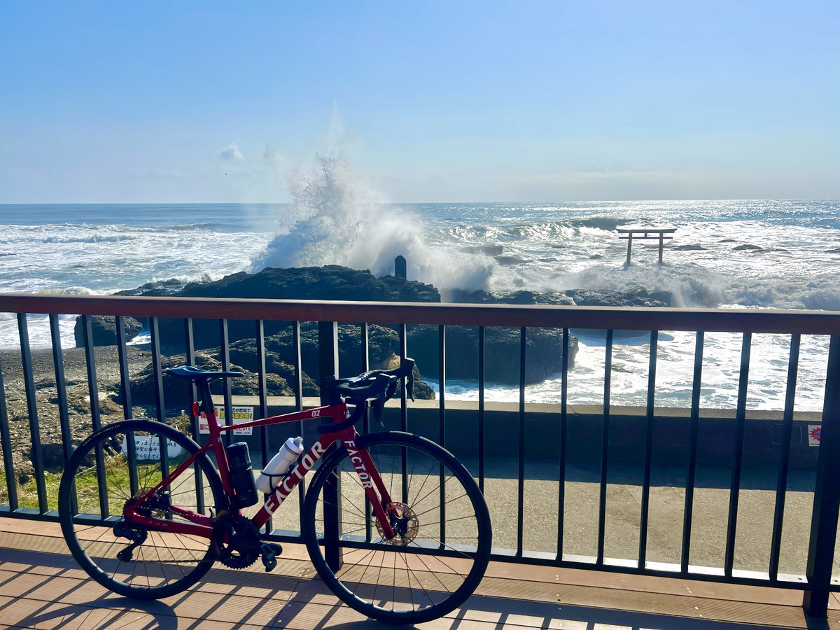高木真矢子| 合同会社ジョインズ tweet media