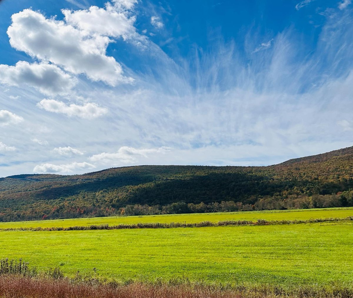 alexander harper (@alexanderh41691) on Twitter photo 