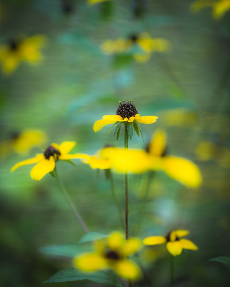 debloois_jason's tweet image. So maybe let's go through the #taughannockfalls folder and see what's left to share...