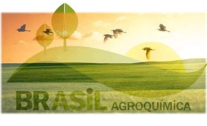 brasil_agro's tweet photo. Nutrir o SOLO é cultivar a VIDA. https://t.co/rnA2TmklTF