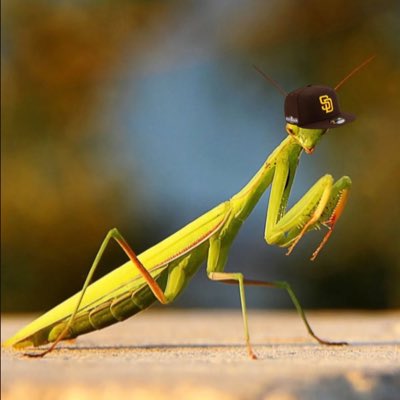 619SD4LIFE's tweet photo. #NewProfilePic https://t.co/ASrumXit0e
