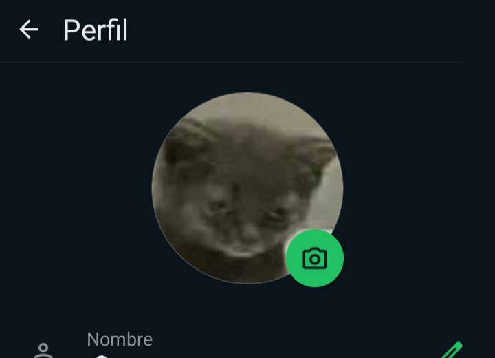 ricteria_'s tweet photo. @tomaspr__ es lo mismo q una fto mia https://t.co/daYe53zDsH