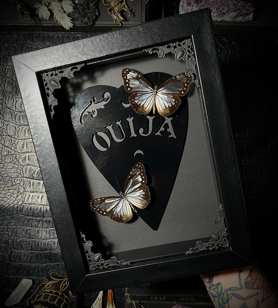 oddityasylum tweet picture