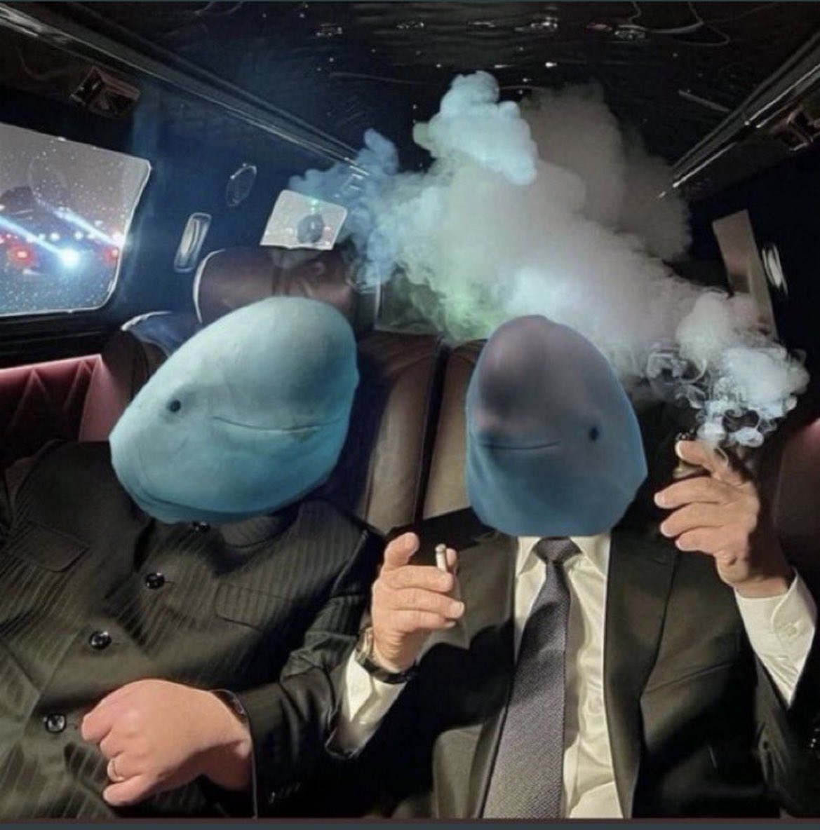 Hey there!! Hope you are having an amazing day. 

I’ll be announcing the meme contest winners tomorrow! 

Stay tuned 🐬