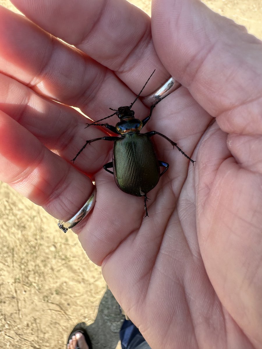 Mrs. Redmon tweet media