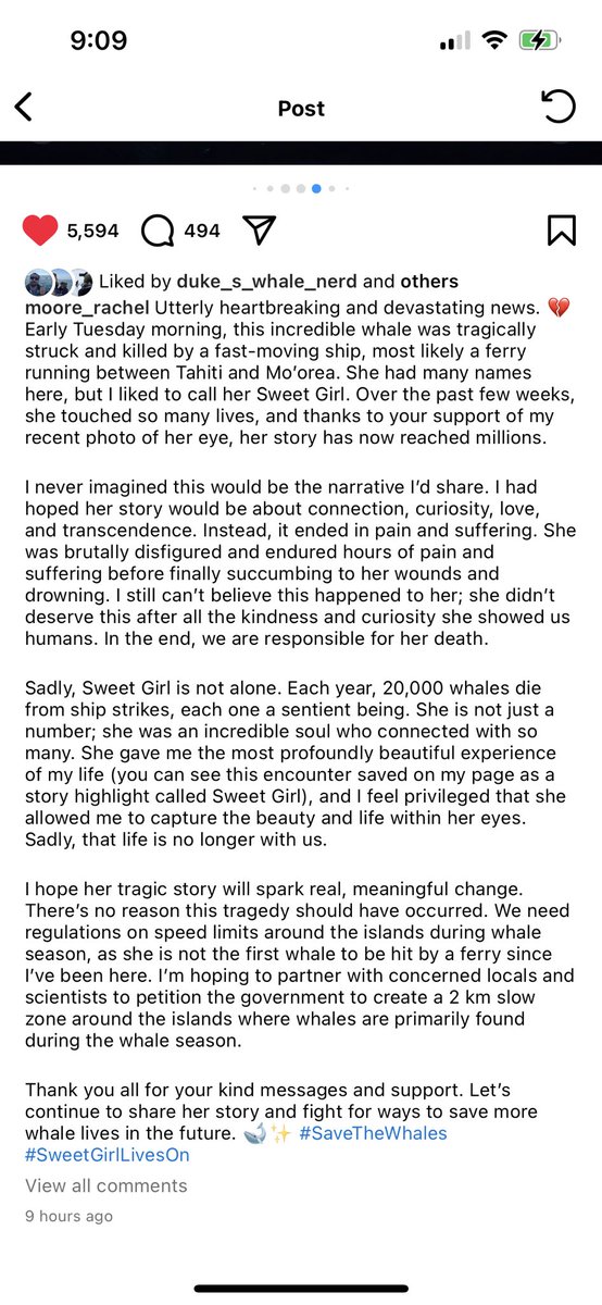 ᴄʜʀɪs 🐳 (@chrisstiawrence) on Twitter photo 