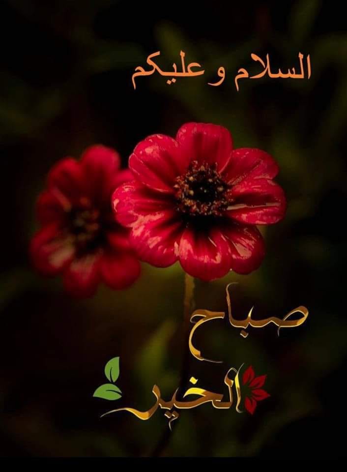 اسلام علیکم ورحمتہ اللہ وبرکاتہ
🌷🌹🌷صبح بخیر🌷🌹🌷
اے میرے پروردگار اس روشن دن کے ساتھ تجھ سےمعافی ومغفرت کی التجاھے    مالک 
ہم بہت گناہ گار ہیں تو ہمیں بخش دے اگر تونے ہمیں معاف نہ کیا تو ہم خطاکاروں میں ہو جاہیں گے بیشک تو رحیم و کریم ہے.
آمین ثمہ آمین
#X_promo