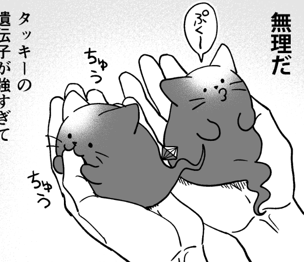 子タッキ～ 