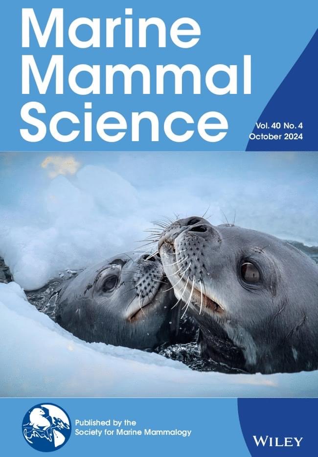 Rob Harcourt (@robharcourt) on Twitter photo Our newest paper on Weddell seal diving has one of my pics on the front cover - great paper lead by Masters student CJ Yong <a href="/Macquarie_Uni/">Macquarie University</a> <a href="/MPRG_MQ/">Marine Predator Lab</a>
onlinelibrary.wiley.com/doi/10.1111/mm… Our newest paper on Weddell seal diving has one of my pics on the front cover - great paper lead by Masters student CJ Yong <a href="/Macquarie_Uni/">Macquarie University</a> <a href="/MPRG_MQ/">Marine Predator Lab</a>
onlinelibrary.wiley.com/doi/10.1111/mm…