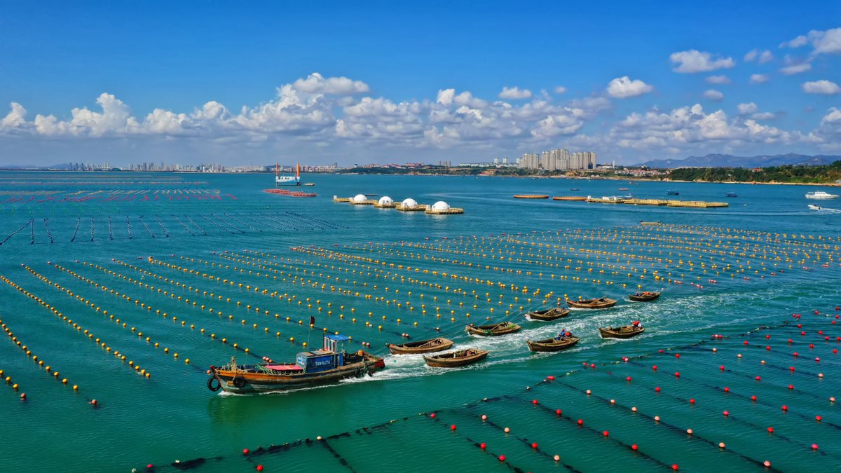 耕海 #WeiHaiCulture