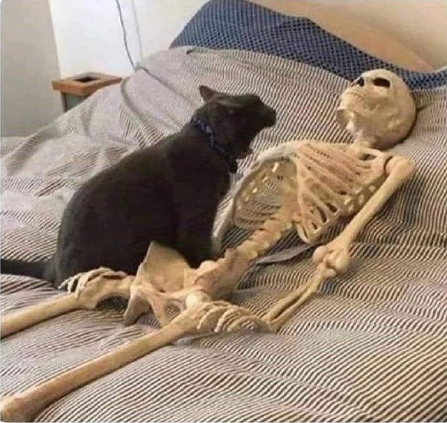 Agatha Chocolats tweet media