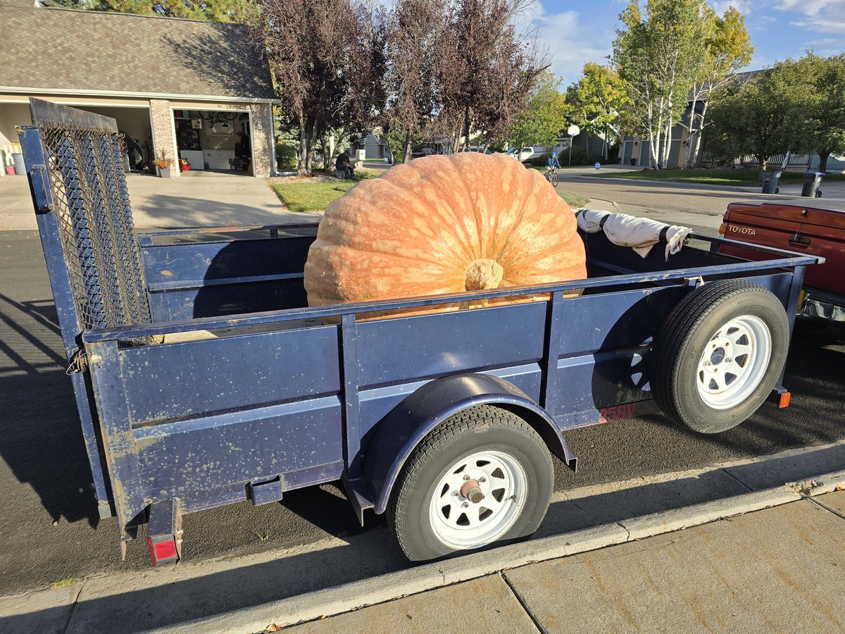 Heading to the weigh off tomorrow!