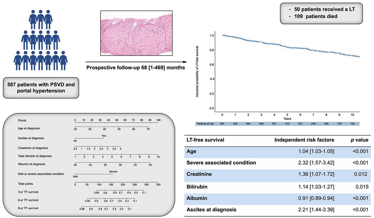 Thomas Reiberger (@reibergerthomas) on Twitter photo 🚨 #LiverTwitter <a href="/ValdigGroup/">Valdig Group</a> <a href="/BavenoCoop/">The Baveno Cooperation: an EASL Consortium</a>
❓Prognosis of patients with
#Vascular #LiverDisease #PSVD
✅Generally very good 😊
but check:
😬 severe associated conditions
🩸Crea, Bili, Albumin
🌊 Ascites
📕<a href="/JHepatology/">Journal of Hepatology</a> 🔗t.ly/fqSFZ
<a href="/jcgarciapagan/">JC Garcia Pagan</a> <a href="/RautouE/">Rautou Pierre-Emmanuel</a> 🚨 #LiverTwitter <a href="/ValdigGroup/">Valdig Group</a> <a href="/BavenoCoop/">The Baveno Cooperation: an EASL Consortium</a>
❓Prognosis of patients with
#Vascular #LiverDisease #PSVD
✅Generally very good 😊
but check:
😬 severe associated conditions
🩸Crea, Bili, Albumin
🌊 Ascites
📕<a href="/JHepatology/">Journal of Hepatology</a> 🔗t.ly/fqSFZ
<a href="/jcgarciapagan/">JC Garcia Pagan</a> <a href="/RautouE/">Rautou Pierre-Emmanuel</a>