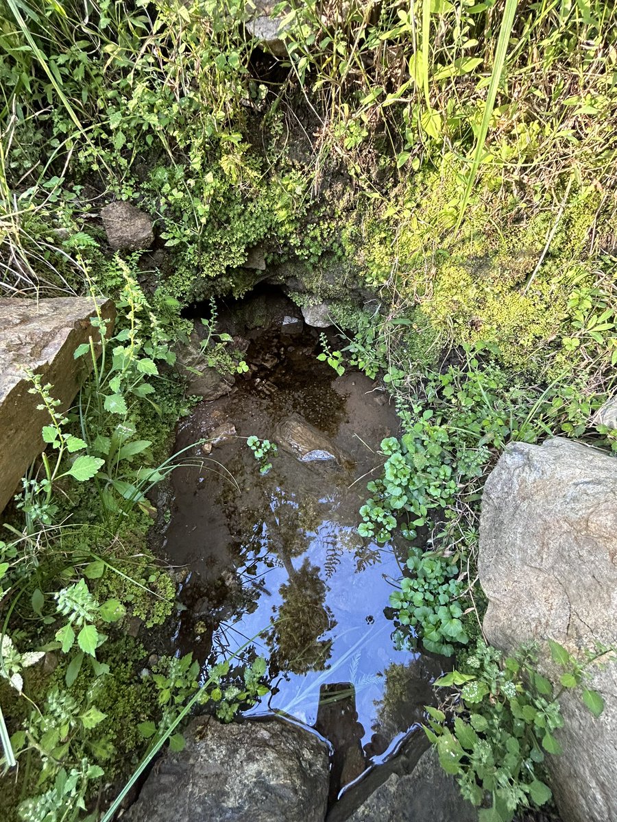 数ヶ月山に入らないと頭の中に無駄な回路が出来て、ソレが僕を苦しませる。
だから山に入って、湧水に頭を突っ込んで
水をすする。
柔らかい、優しい、本当の水はカラダにすぐ馴染む。