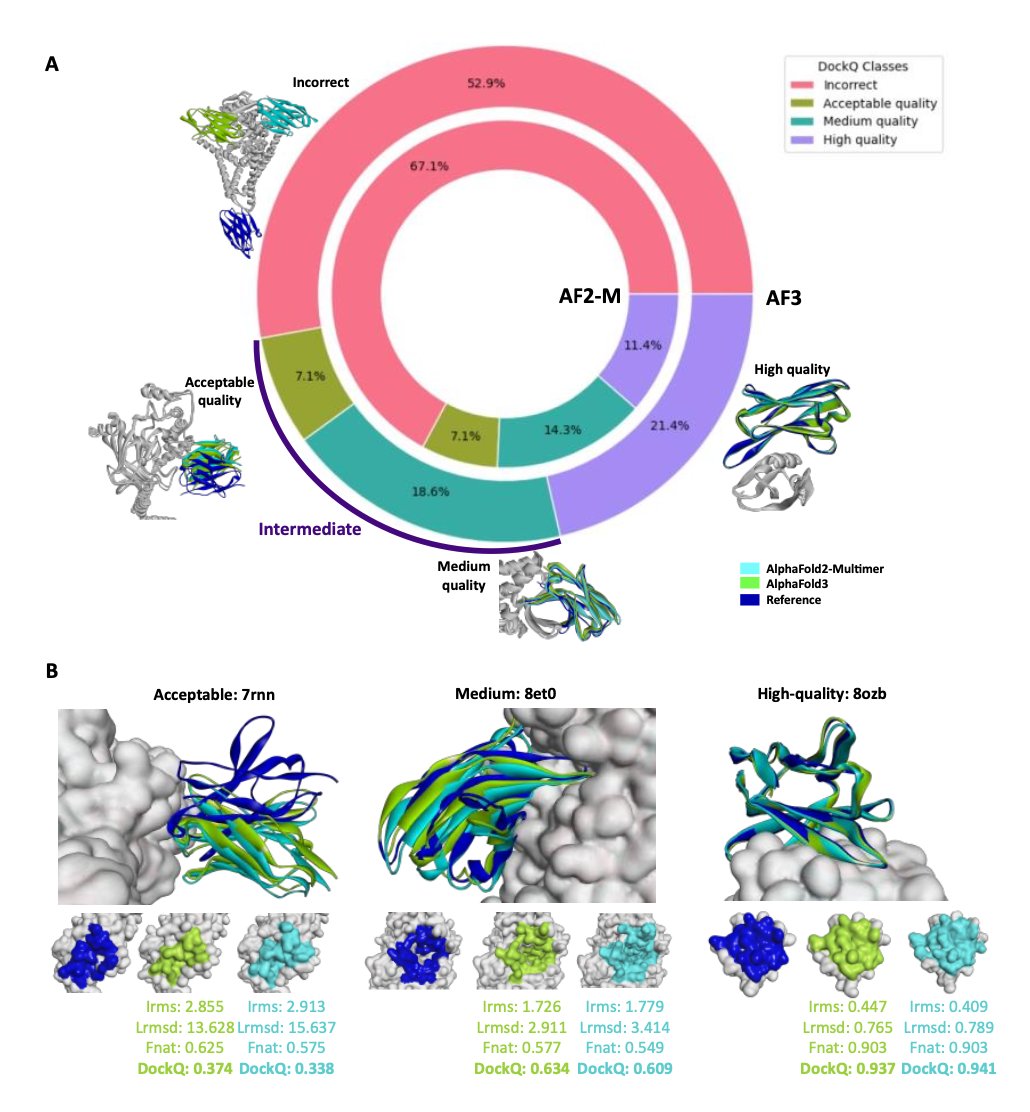 BiologyAIDaily's tweet photo. AI driven approaches in Nanobody Epitope Prediction: Are We There Yet?

1. This paper evaluates the use of AI-driven tools like AlphaFold3 and AlphaFold2-Multimer (v.2.3.2) for nanobody epitope prediction. Despite improvements, the overall success rate remains below 50%, with AlphaFold3 showing modest gains over its predecessor.

2. The study highlights that epitope identification performance strongly depends on CDR3 characteristics, particularly its 3D spatial conformation and length. Nanobodies with specific CDR3 conformations showed significantly better prediction accuracy.

3. One key finding is that AlphaFold3 performs better within certain nanobody classes and in predicting stretched CDR3 conformations. However, kinked CDR3 conformations continue to present challenges, reducing the overall success rate.

4. The study further critiques AlphaFold3’s confidence metrics, such as ipTM and pTM, demonstrating their reliability in predicting complex formations. However, improvements are needed to address structural dynamics, especially for longer and kinked CDR3 loops.

5. The researchers also assess alternative strategies, including iterative generation of models and incorporating additional epitope-related data, but with mixed results. They suggest that new AI models may need to adopt a more flexible approach to dynamic protein interactions.

@EshakFloriane 
📜Paper: https://t.co/tDqHeyWYXo