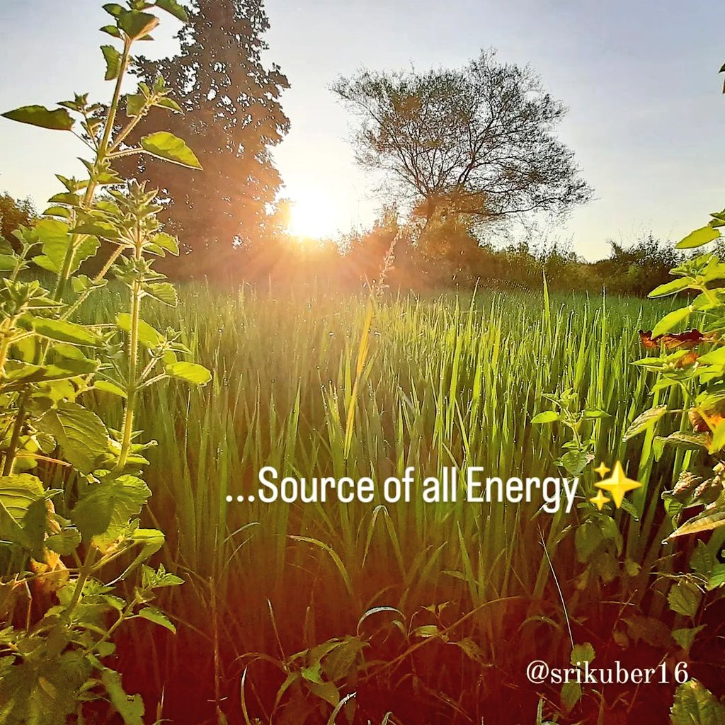 srikuber16's tweet photo. Nature provides us everything we need..🌿✨ https://t.co/pG2JlLzrd9