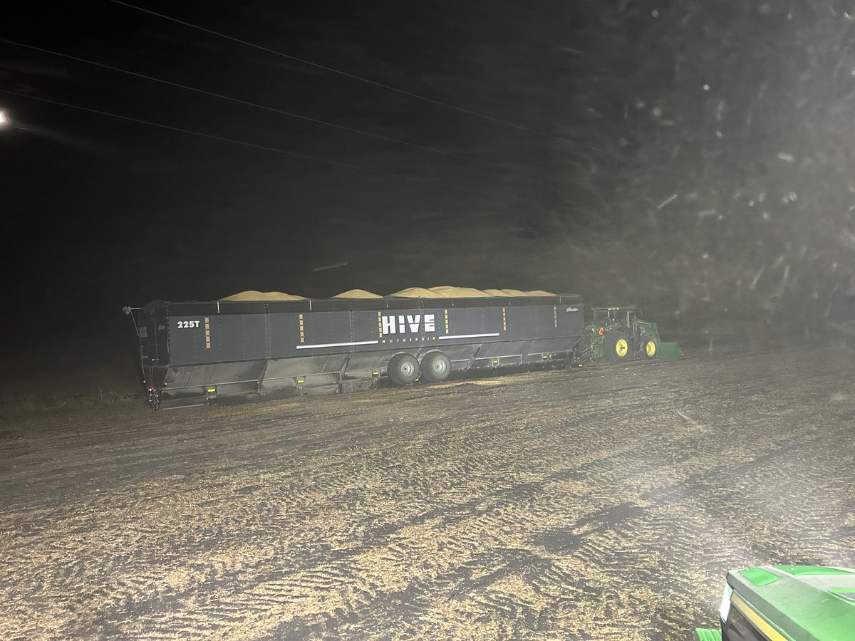 Emily Laudin tweet media