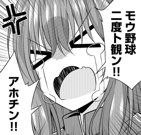 もう野球を二度と観ない時にお使いください 