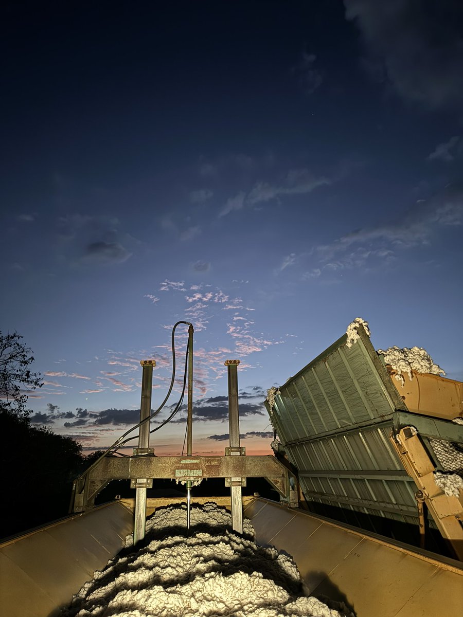 Night shift #cotton24