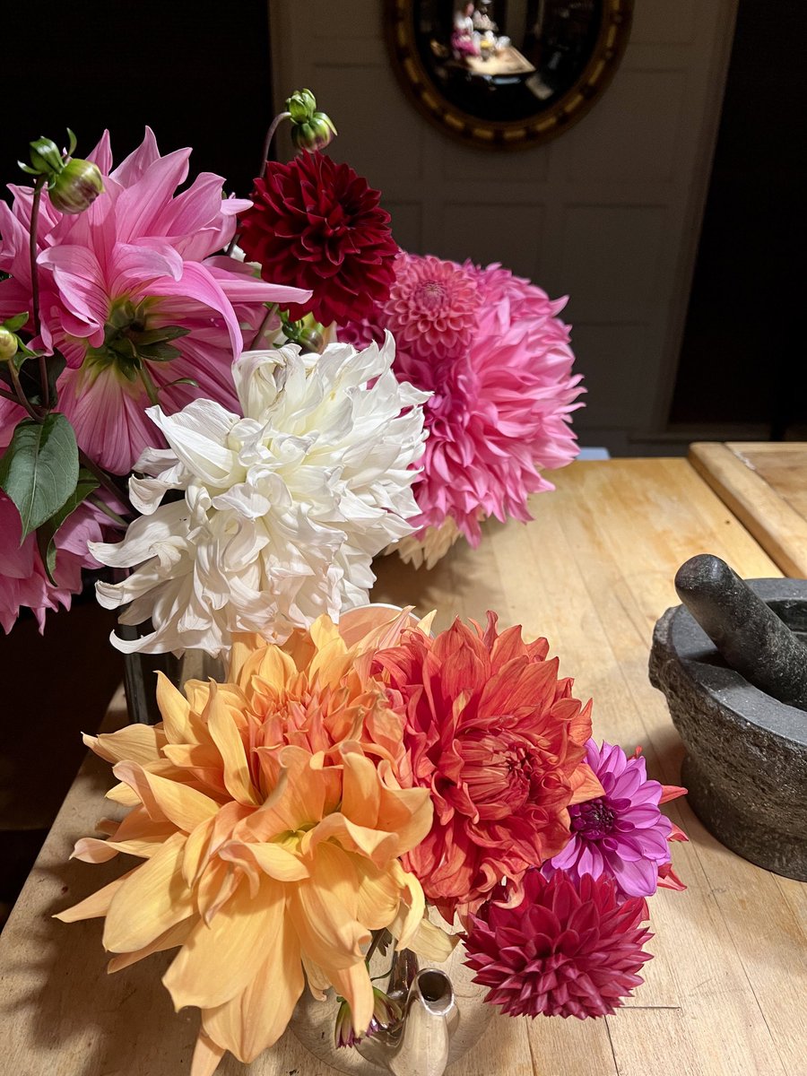 Dahlias anybody?