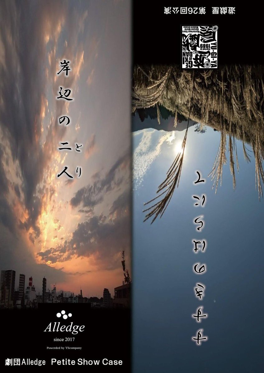 加藤 萌佳 (( かとうもえか )) tweet media