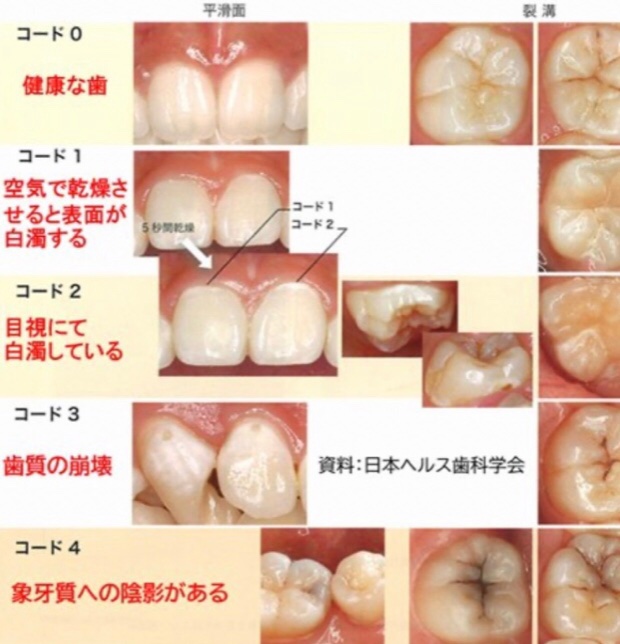 119回 歯科医師国家試験対策 まとめ資料 119回 歯科医師国家試験対策
