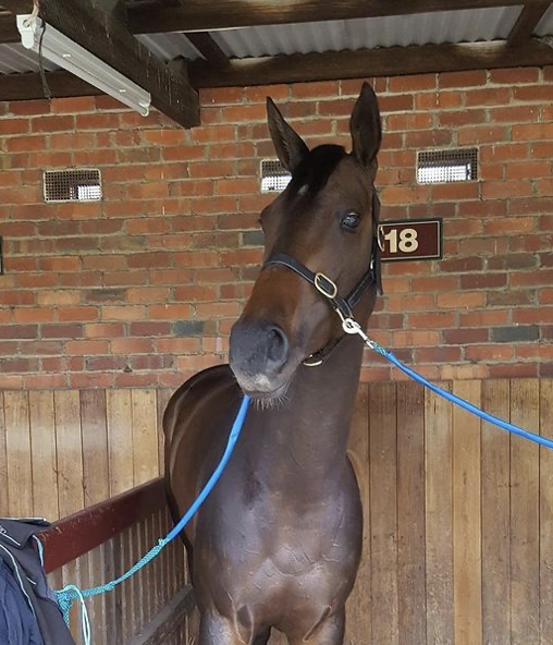 Sarah Perry tweet media