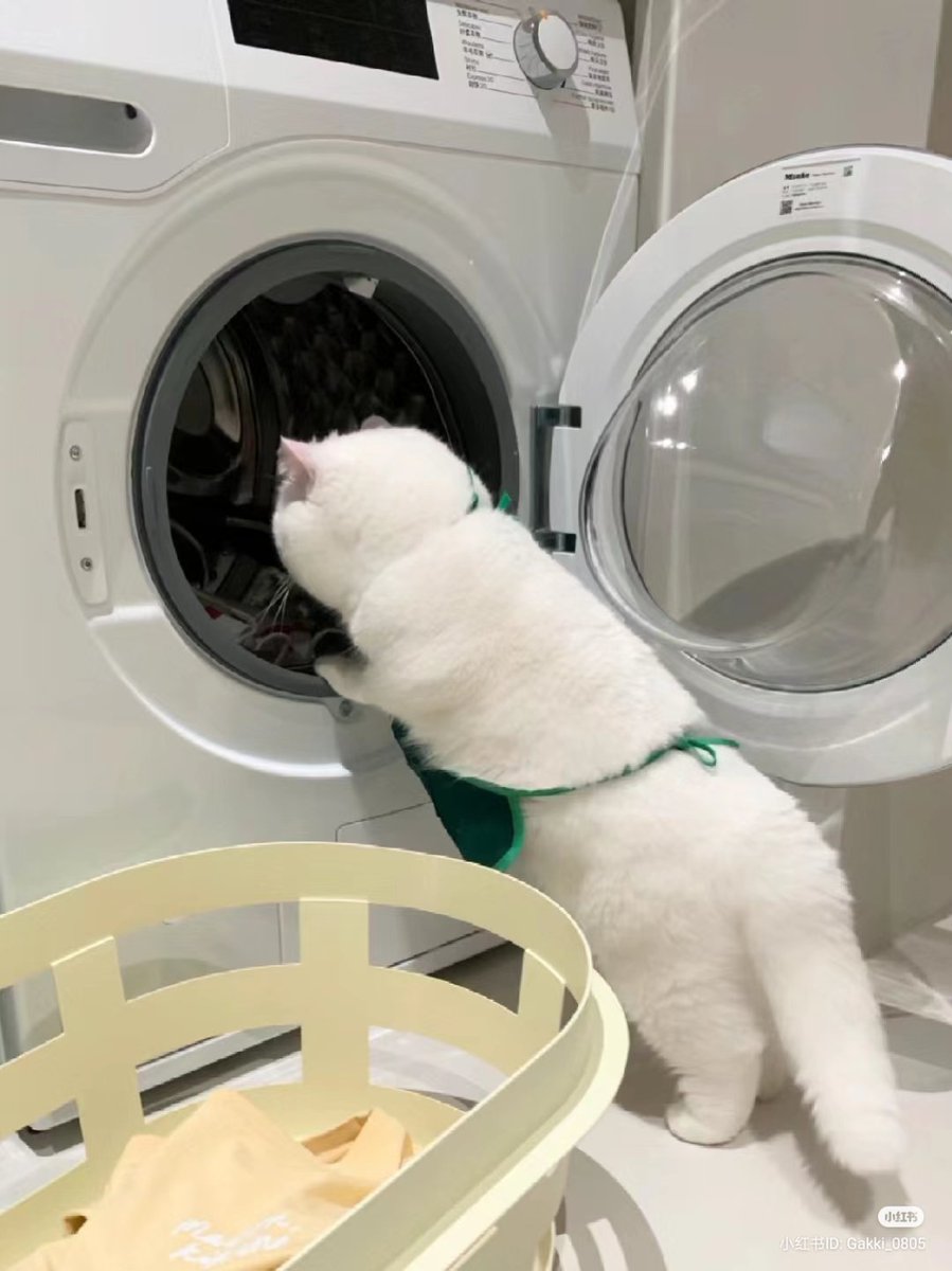 I DO EVERYTHING IN THIS HOUSE!!!!  😡