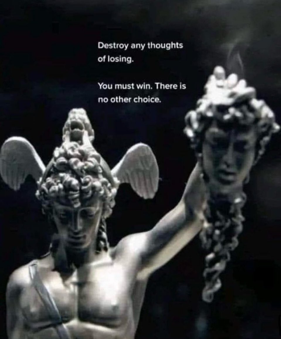 ₕₐₘₚₜₒₙ tweet media