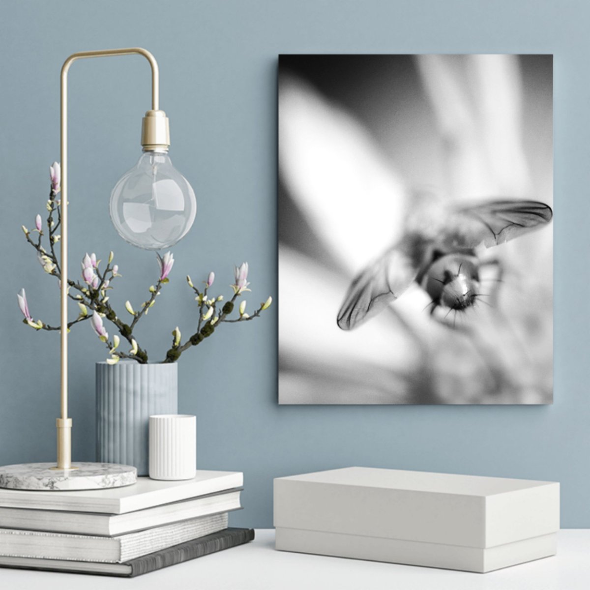 junekrisko's tweet image. Bug butt in black and white. 
#FrameItFriday
.
.
.
#HaliburtonOntario #MyHaliburton #MyHaliburtonHighlands #HaliburtonHighlands #OnHighlands #JuneKriskoArtist #JuneKriskoPhotography #ShareCanGeo #BlackAndWhite