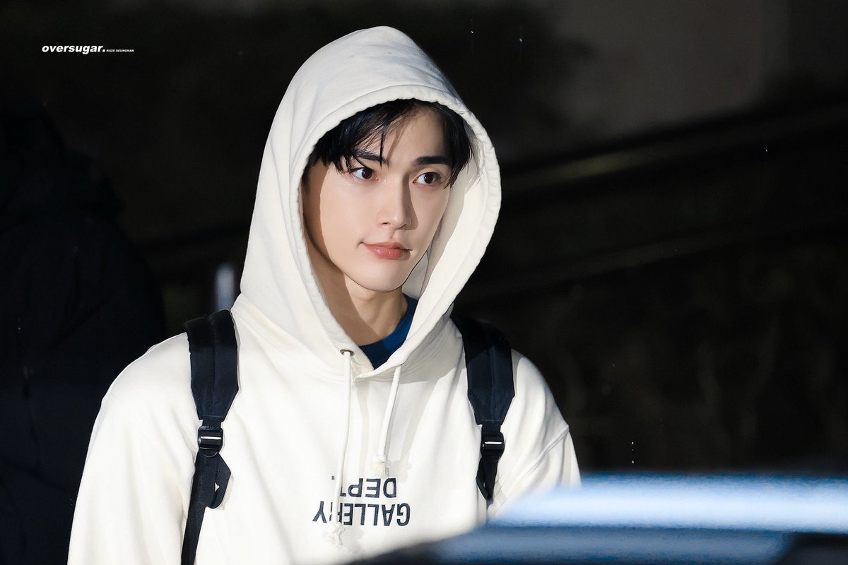 xnghanpics's tweet image. a face like no other