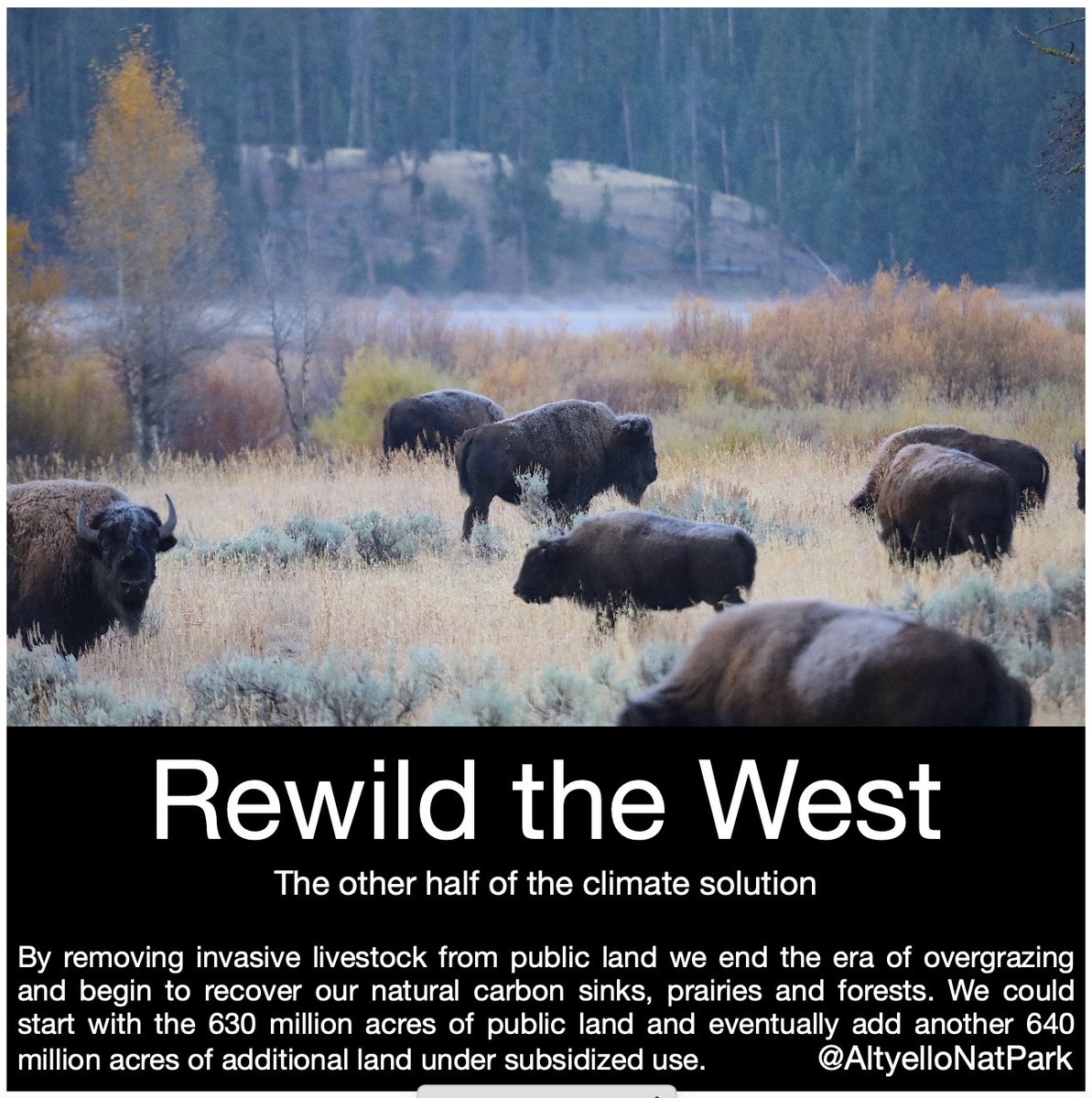 We're making progress. Because you've been retweeting &amp; following, Impressions are up about 15%. 

We've a long way to go in our fight against M Usk's censorship algorithm, but with your help we'll get the message out.

The environment is the solution

Like
comment
Retweet
Follow