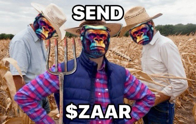 Ordzaar tweet media
