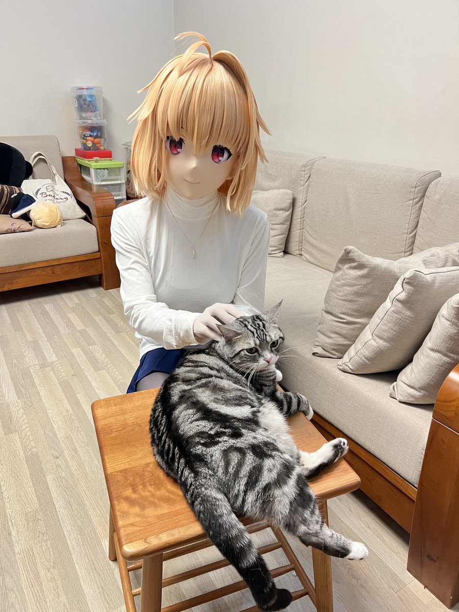 爱猫tv