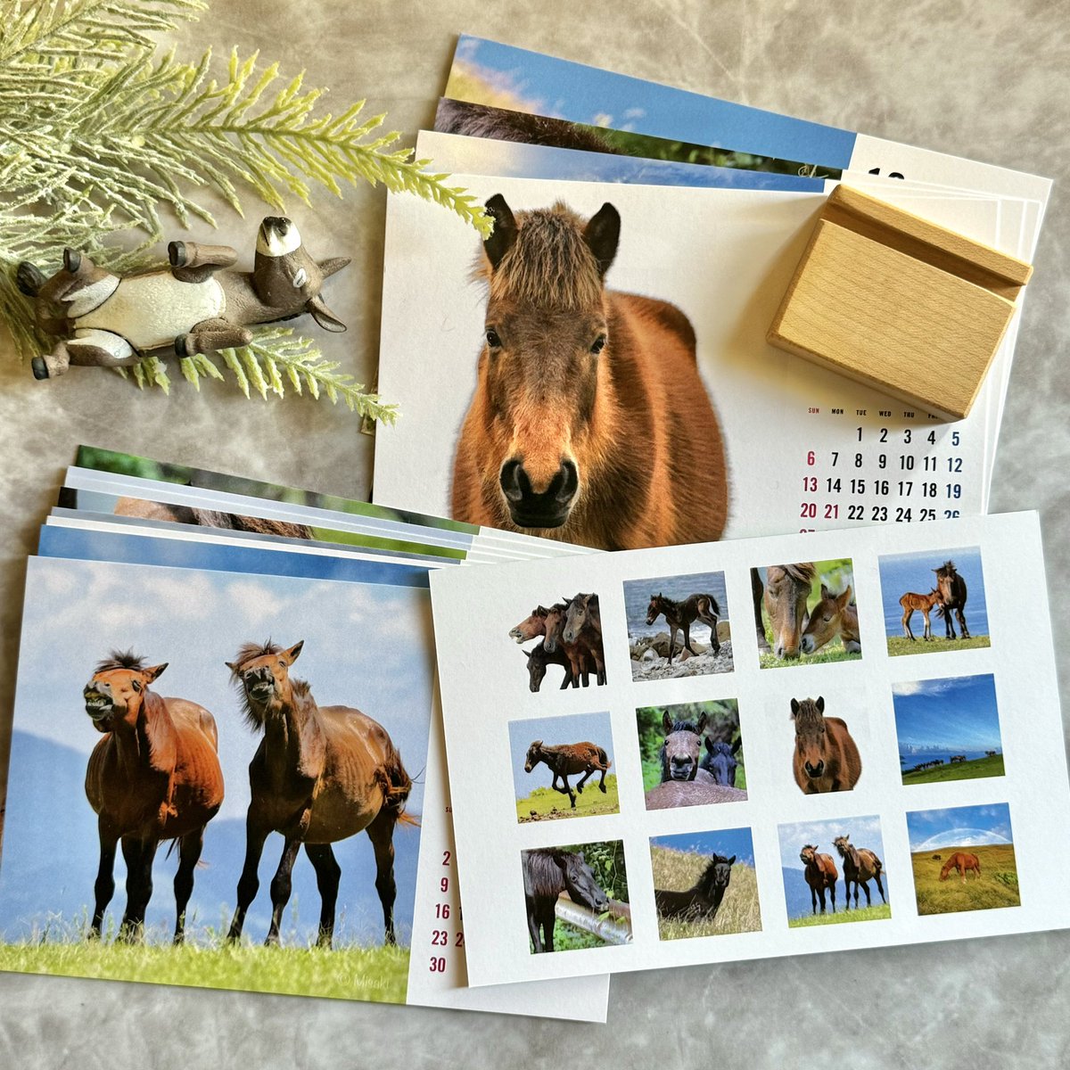 2025年御崎馬チャリティカレンダー
販売開始しました。
Instagram【御崎馬守り隊】のDMか、ネットショップ【御崎馬守り隊】でご注文受付中です。

#都井岬 #在来馬 #御崎馬 #岬馬
