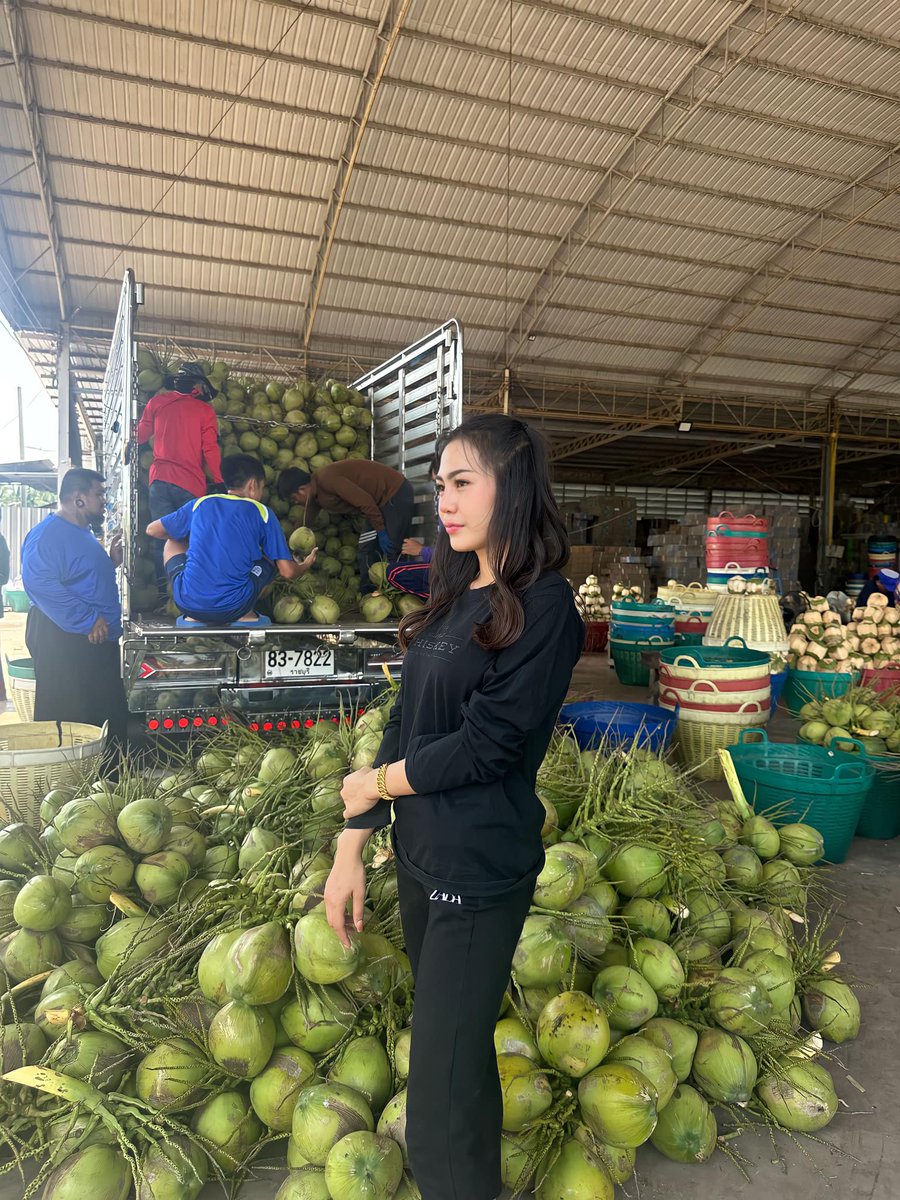 wiphada73072's tweet photo. รับซื้อมะพร้าวสดอยู่นะคะ #สวนมะพร้าว https://t.co/VgVGITUAet